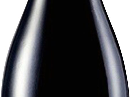 2015 Trabun Syrah Cachapoal Andes, Requinoa Supply